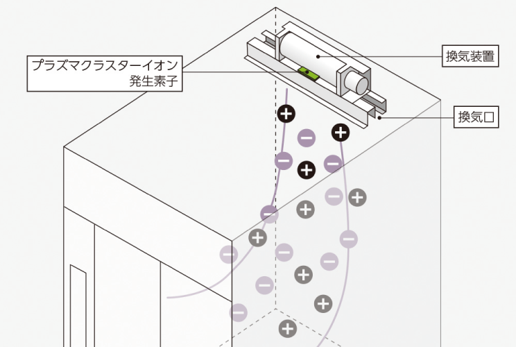 イオンフル