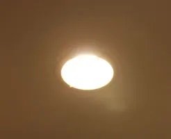 ダウンライトに｢LED｣
