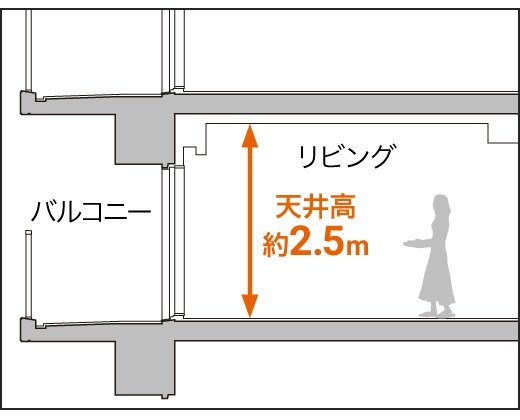 ゆとりの天井高約2.5m