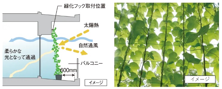 バルコニーの壁面に緑化対策