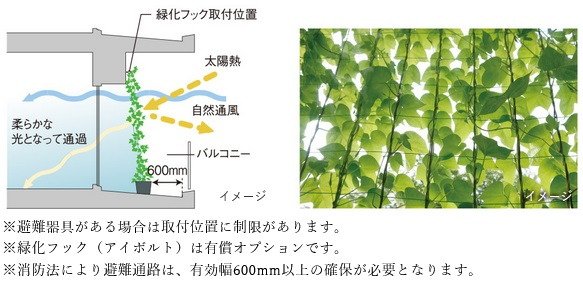 バルコニーの壁面に緑化対策