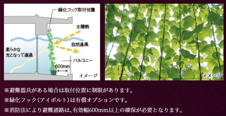 バルコニーの壁面に緑化対策