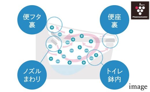 鉢内除菌
