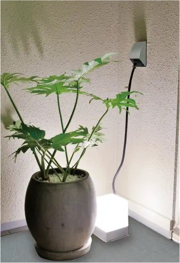 バルコニーコンセント