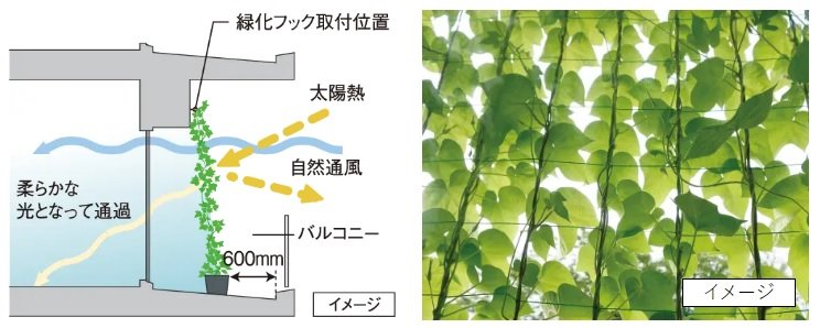バルコニーの壁面に緑化対策