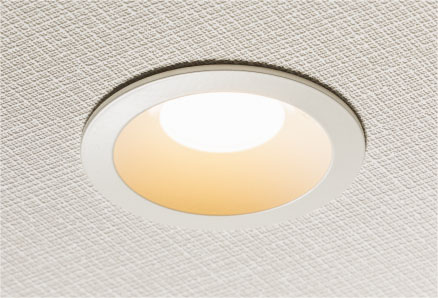 LED 照明