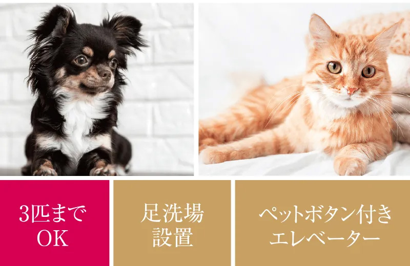 With PET ペット対応マンション