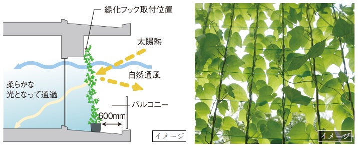 バルコニーの壁面に緑化