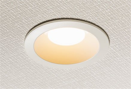LED 照明