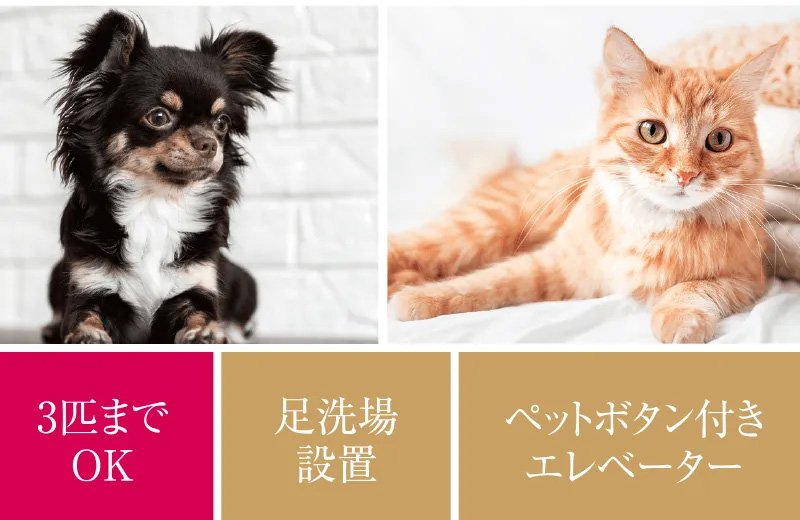 With PET ペット対応マンション