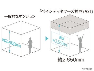m2からm3へ
最大約2,650mmの天井高