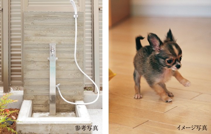 多目的洗い場