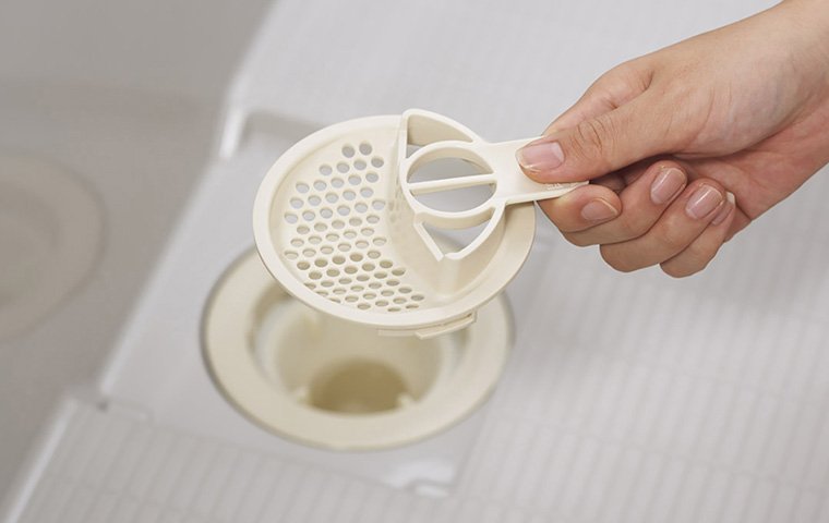 排水口