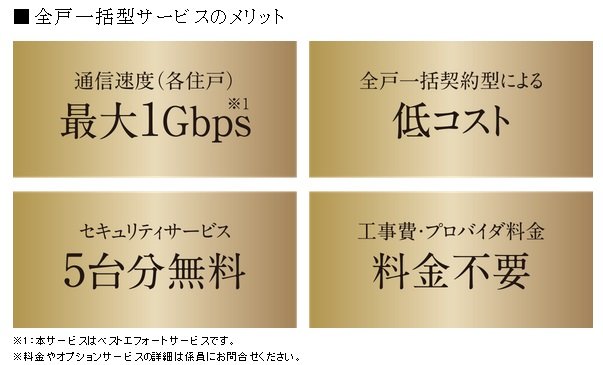光インターネット 全戸一括型