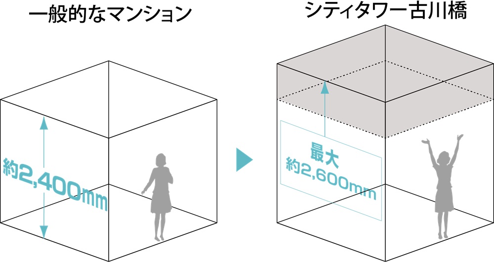 最大約2,600mmの天井高