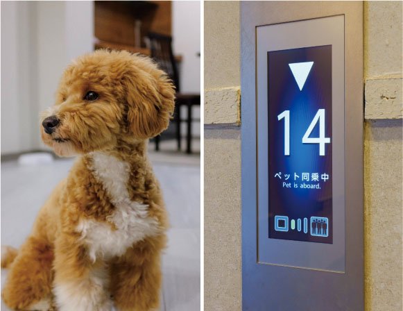 ペット対応マンション(大型犬も可)