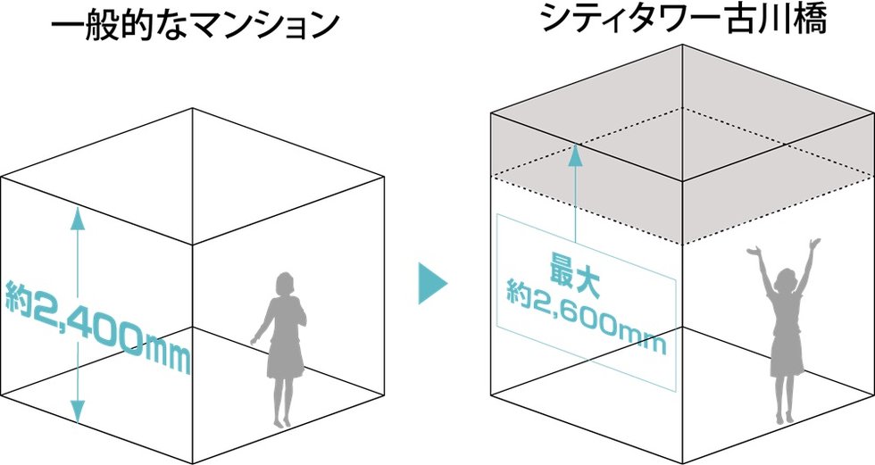 最大約2,600mmの天井高
