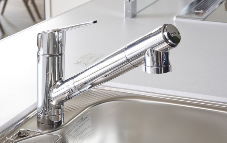 浄水機能付きハンドシャワー水栓