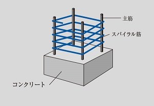 スパイラルフープ筋（一部除く）