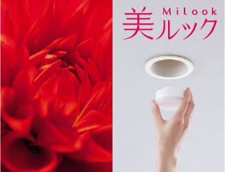 美ルック