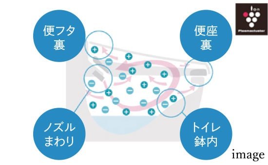 鉢内除菌