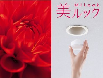 美ルック