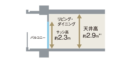 天井高は最大約2.9m、サッシ高約2.3m