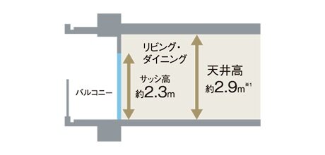 天井高は最大約2.9m、サッシ高約2.3m