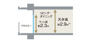 天井高は最大約2.9m、サッシ高約2.3m