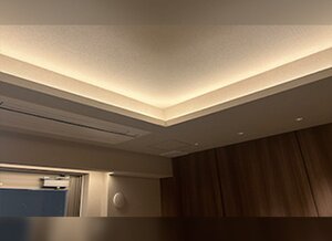 ライン照明