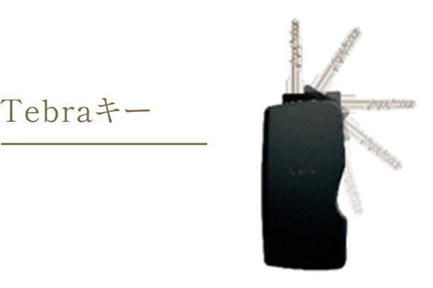 Tebraキー