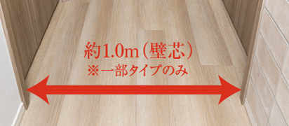 メーターモジュール ※一部タイプのみ