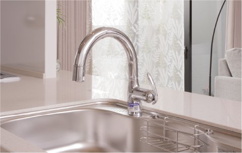 スタイリッシュなグースデザインの浄水器一体型シャワー水栓