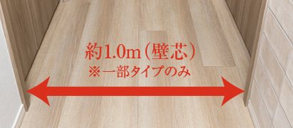 メーターモジュール ※一部タイプのみ