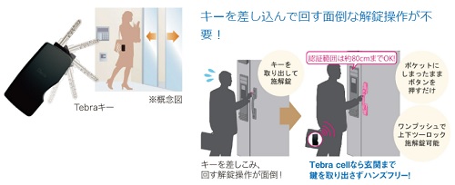 Tebraキー・Tebra cell(電池錠)〈オプション〉