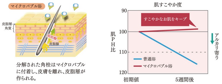 すっきり、肌キレイ。すこやかでキレイなお肌へ。