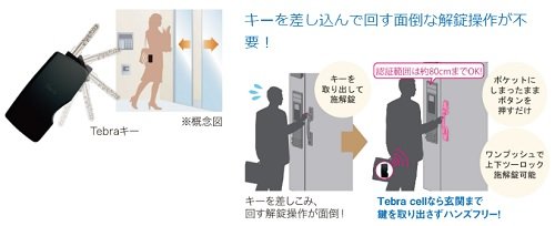 Tebraキー・Tebra cell(電池錠)〈オプション〉
