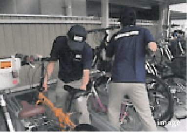 定期巡回環境整備活動
