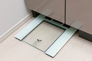ヘルスメーター収納スペース