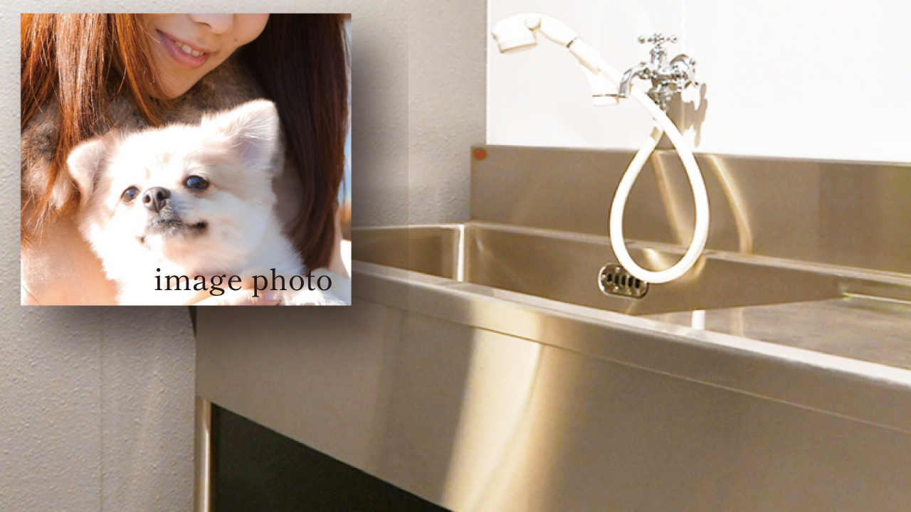 ペット飼育※とペット足洗い場