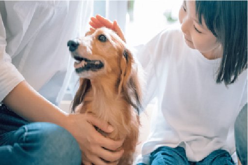 ペットと暮らせるマンション