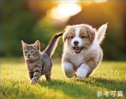 多目的洗場