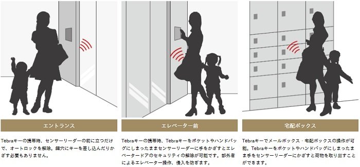 Tebraシステム