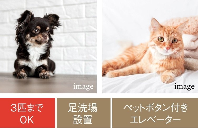 ペット対応マンション