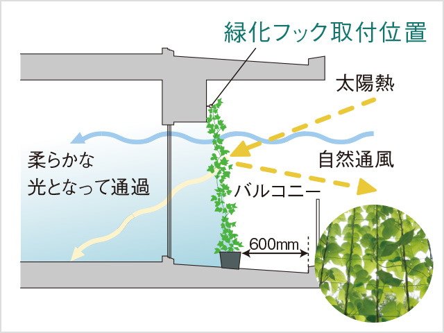 緑化フック※3