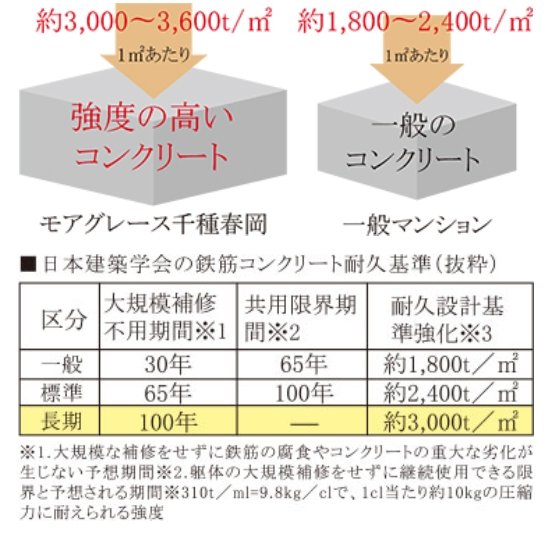 100年コンクリート