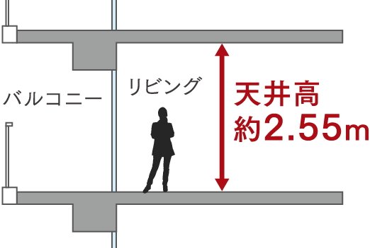 天井高は約2.55m