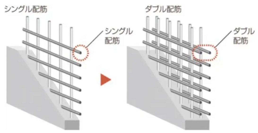ダブル背筋
