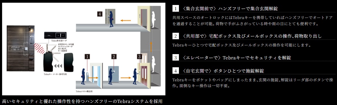 《Tebraシステム》