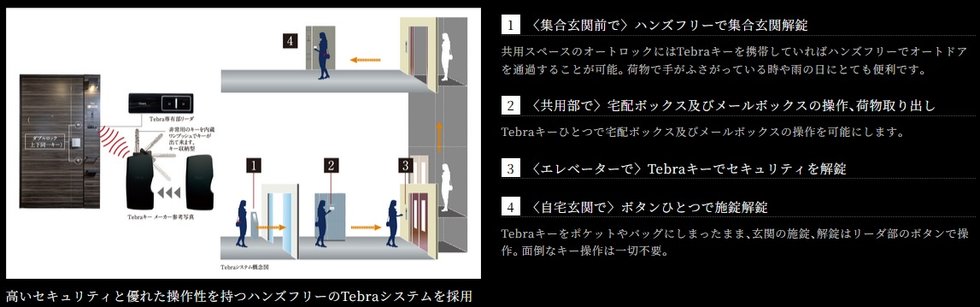 《Tebraシステム》